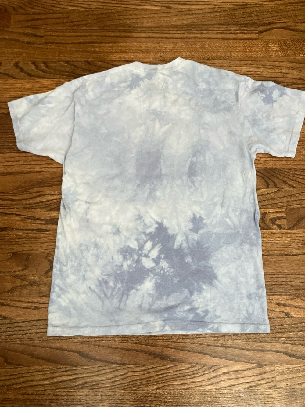 The Mountain Light Blue Tie-Dye Selfies Dogs Graphic Tee - Picture 3 of 4